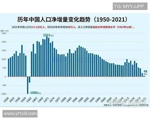 深入探讨北京排球队战术表现与数据分析的关系及其对比赛结果的影响