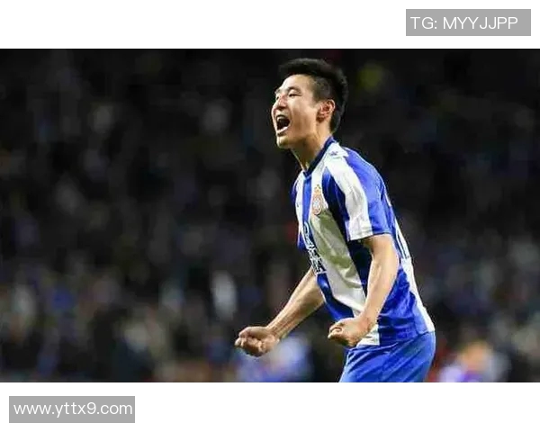 灵性与球技的完美结合最有灵性足球明星的魅力与影响力探讨